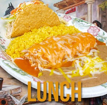Daily Lunch Specials
